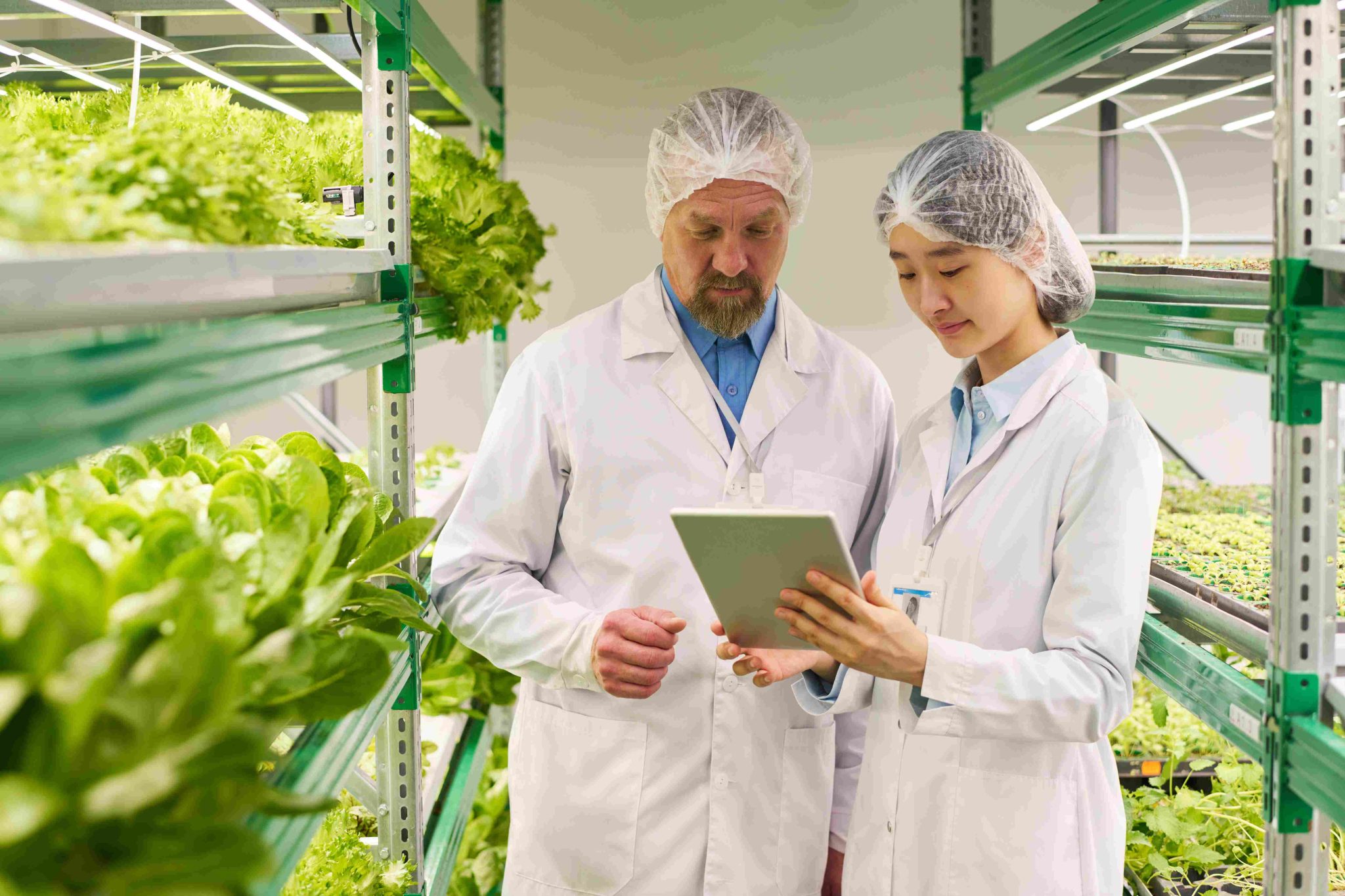 Food Safety di Era Digital: Bagaimana Teknologi Membantu Monitoring Keamanan Pangan?